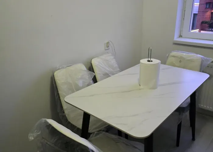 Apartament Central *